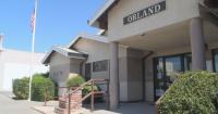 Cannabis, growth, and jobs split Orland's city council candidates