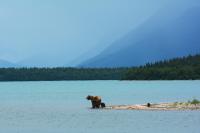 5 Once-in-a-Lifetime Wildlife Expeditions for Nature Lovers