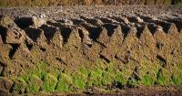 On first Monday in October Falklands celebrates Peat Cutting Day