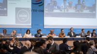 General Council addresses WTO reform, ministerial follow-ups, ongoing negotiations