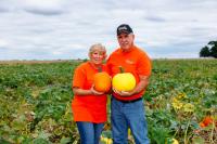 Redbird-owned pumpkin patch celebrates 20 seasons of ag education