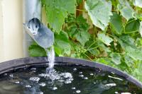 Florida city offers $50 to swap old toilets, add rain barrels, or start composting