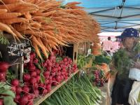 Colorado program offers farms, ranches funding to train the next generation