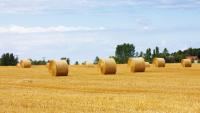 Celebrating agriculture in Saskatchewan