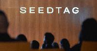 The appeal of neuro-contextual advertising: a Q&A with Seedtag’s Brian Danzis