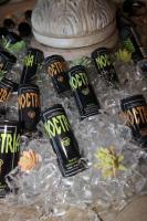Noctría Arrives to Own the Night