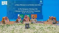 Pakistan faces domestic opposition over military deployment to Saudi Arabia