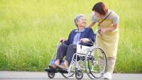 Japan’s Senior Cohort Approaches 30% of Total Population