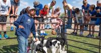 Utah seeks local beef and fruit tree vendors to connect with school meal programs