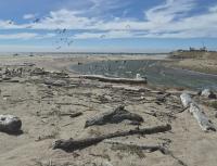 Dan Haifley, Ocean Currents | Measure D for coastal leverage