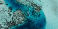 Conservationists are discovering ‘bright spots’ around the globe. Here’s why they matter