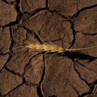 Strong El Niño could lead to impactful drought as well as humid heat over the next three months