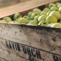 Zeeland, Coopersville businesses awarded state agricultural grants