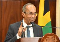 Jamaica records 24 per cent reduction in murders – Chang