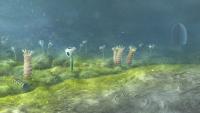 Earth’s first animals may be 200 million years older than their fossils suggest