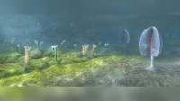 The First Animals May Have Evolved Up to 200 Million Years Before Their Oldest Known Fossils, Study Suggests