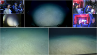 E/V Nautilus Streams Live ROV Dives Into Unmapped Hawaiian Abyss Right Now