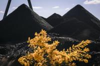 Climate champion Australia digging more coal