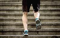 Are calves the forgotten muscle group?