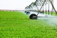 Food holding revenue in Oman jumps 40%
