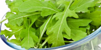 Salmonella sickens 16 in Sweden