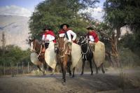 Why the ‘Cowboy Core’ Travel Trend is Going Global