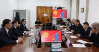 Kyrgyzstan, Mongolia to develop cooperation in pediatric cardiac surgery