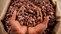 Cocoa prices risen by 95% since March 2026, to average US$5,670 in 2026