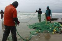 Fish flee El Nino heat, leaving Latin American nets empty
