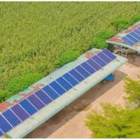 Jamaica to launch 300MW renewable-energy auction before year end