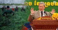 PM Rules Out Cannabis Cultivation in Cambodia