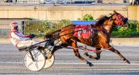 Salty Beaches makes it three wins in a row at Harrington Raceway