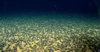 USGS Team to Analyze Samples for Radon as Tracer for Deep Mineral Deposits