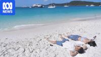 'Could almost speak Mandarin to everyone': Chinese visitors flock to Australia