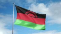 IMF says Malawi visit makes progress towards new lending programme