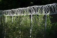 NBS: Migrant group pushed aggressively across Latvian border this week