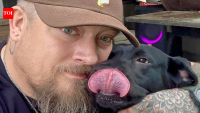 Wyoming Army veteran fought mountain lion bare-handed to save dog
