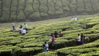 Geopolitical tensions, erratic weather cloud Keralam’s foreign tourism outlook