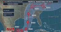 Florida TODAY: Gulf hurricane threat, medical marijuana, AI pythons
