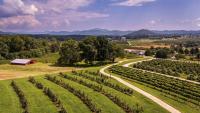 Agritourism experts urge fair distribution of SA’s tourism boom