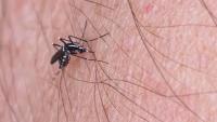 Virus outbreak with 'no treatment' hits 16 European countries - full list