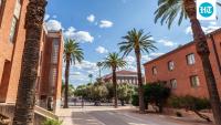 University of Arizona puts all 21 Interfraternity Council chapters on ‘activities suspension’ amid investigation, misconduct reports