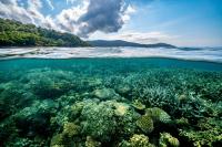 Which countries have the greatest biodiversity in the world and what is the size of their economies in 2026