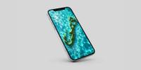Wallpaper Wednesday: Grass Tide Bermuda
