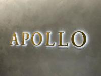 Exclusive-Apollo submits non-binding bid for German energy firm Uniper, sources say