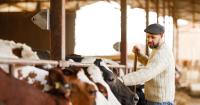 Drought drives Australian livestock tech Agscent to launch in UK