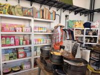 Tarpon Springs entrepreneur’s dream takes flight at the Gilded Butterfly Boutique