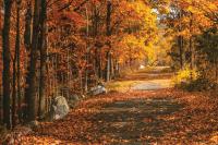 A Traveler’s Guide to East Coast Cool-Weather Getaways