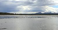WED: Doña Ana County declares flood disaster, weighs solutions, + More