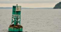 Canadian buoy found on shore of Irish island after journey across Atlantic